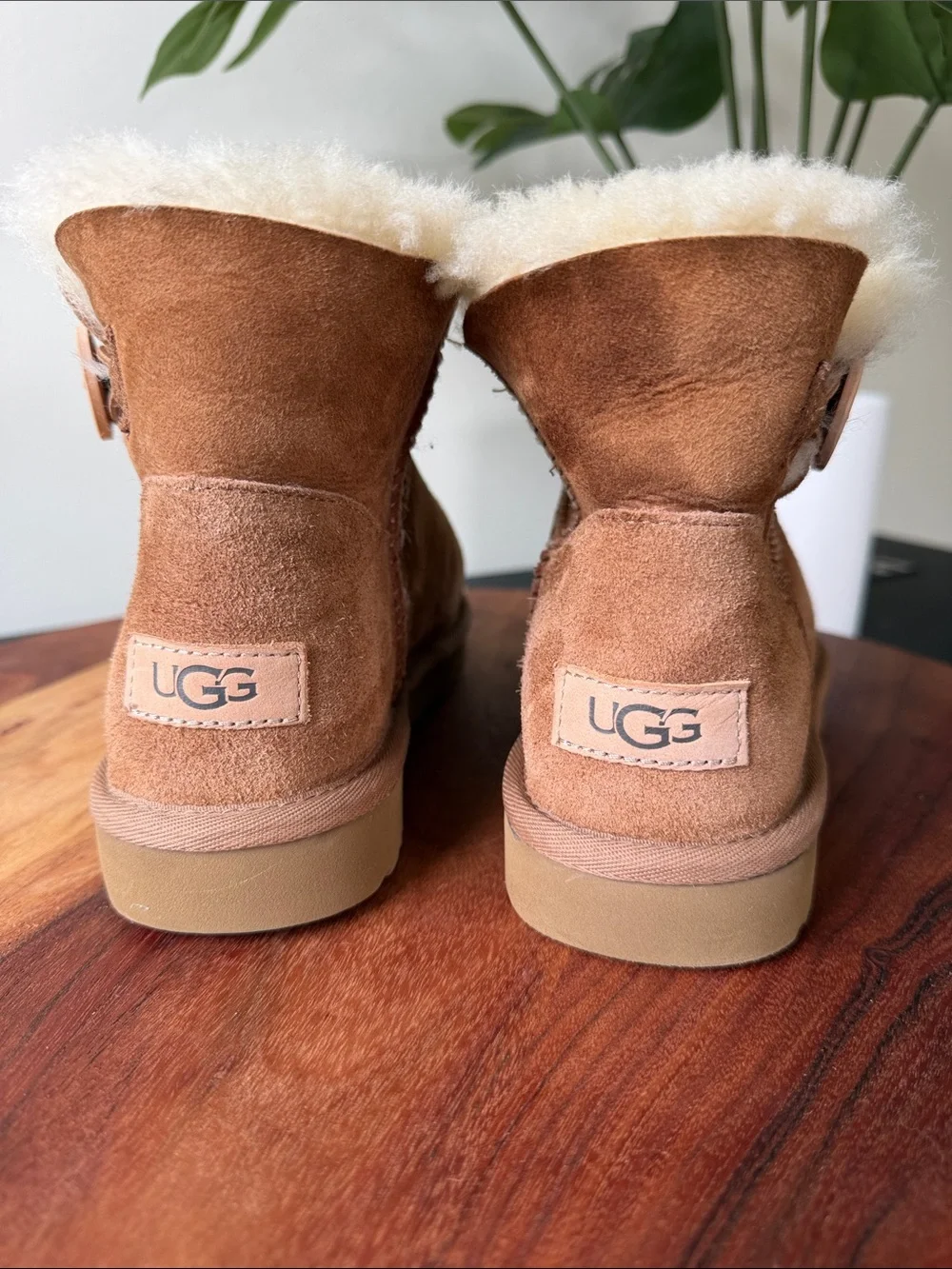 🍁UGG Mini Bailey Button II Suede Ankle Boot - Chestnut Brown Youth Size 6 101642